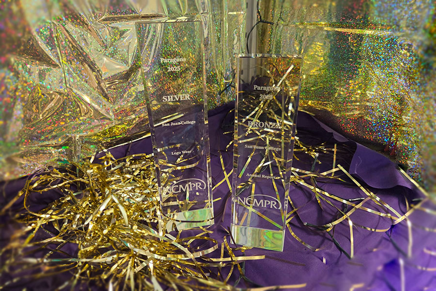 Two Paragon Award status in front of a purple and gold background