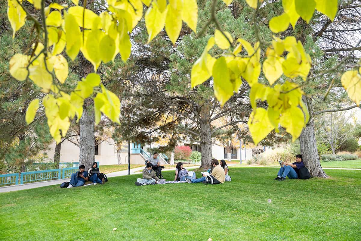 Students sitting under the trees on San Juan College Main Campus
