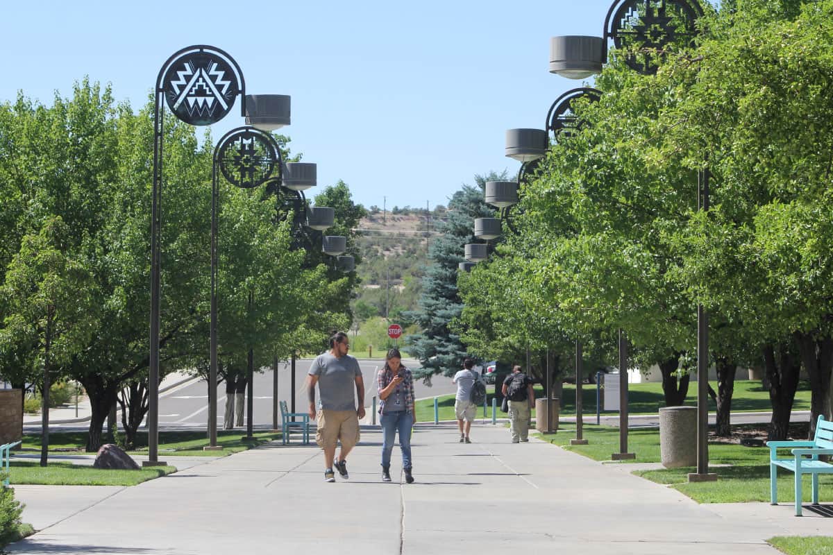 Students walking up a tree lined sidewalk