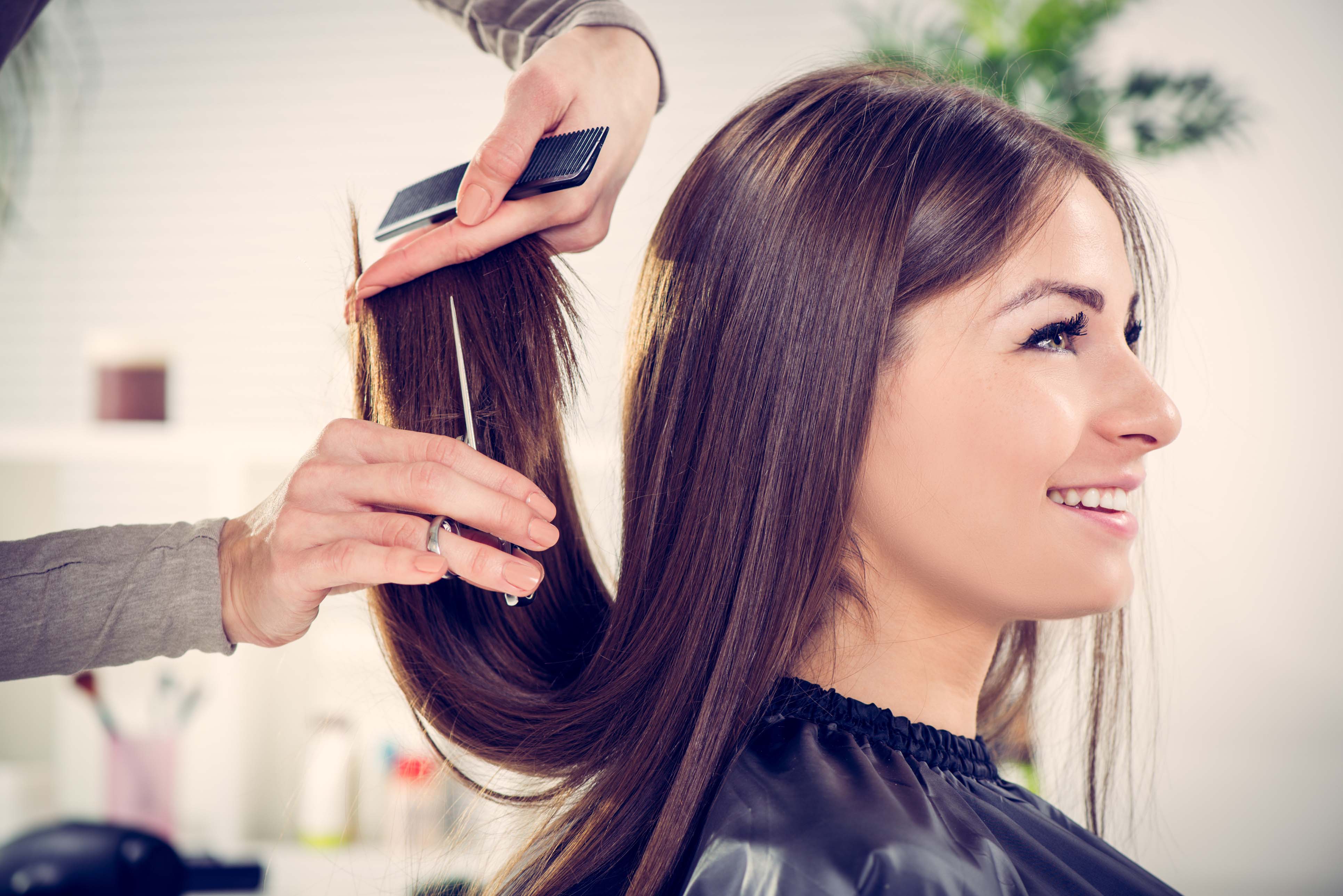 Stylist cutting hair