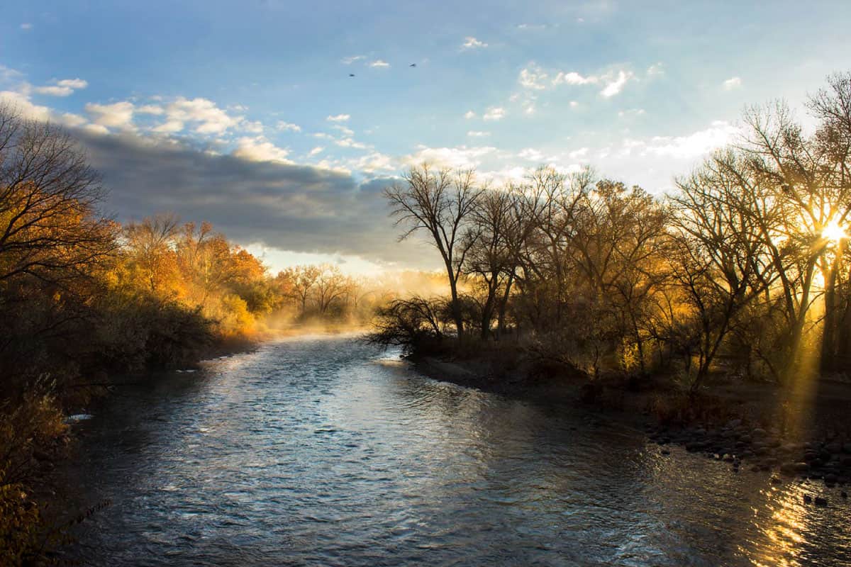 At SJC's Center of Excellence we study Water Security & Sustainability