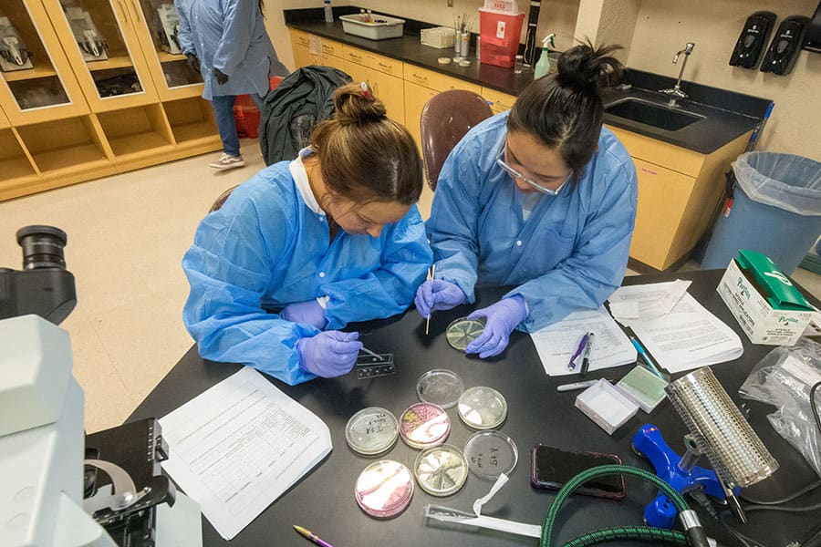 Two San Juan College students preparing samples in the biology lab