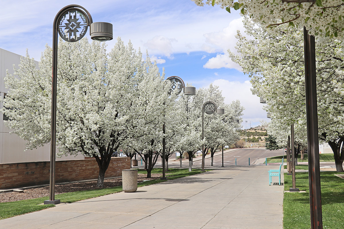 The medallion walkway next to the educational services building