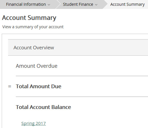 screenshot of self service menu to access account summary info